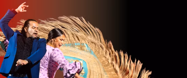 Jesús Muñoz Flamenco