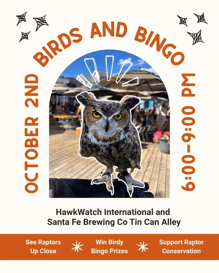 Birds and Bingo at Santa Fe Brewing Co