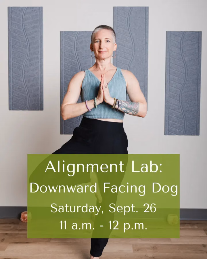 Alignment Lab: Downward Facing Dog