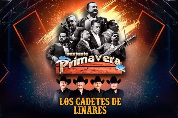 Conjunto Primavera En Concierto