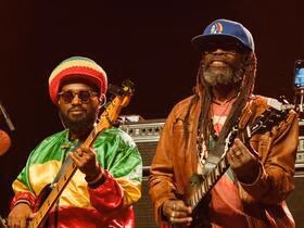 The Wailers